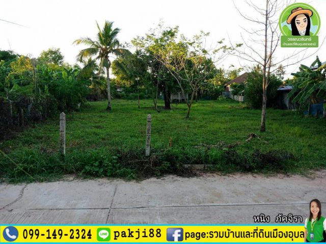 ที่ดิน 316 ตร.ว. ราคา 750,000 บาท บ้านโชครังสรรค์ อ.สิรินธร/อุบลฯ