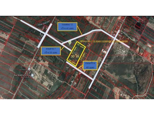 Ps150 หากันจังผังม่วงลายถูกๆ แปลงนี้30ไร่ๆ1ล้าน