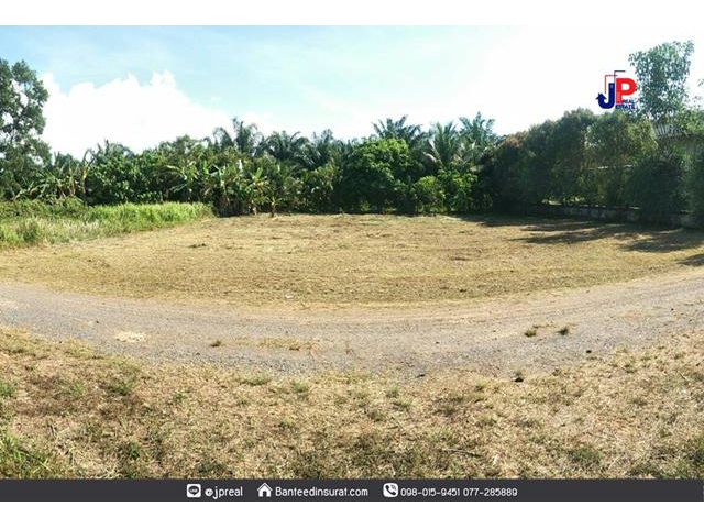 ขาย ที่ดินถมแล้ว 262วา ขุนทะเล สุราษฎร์ธานี