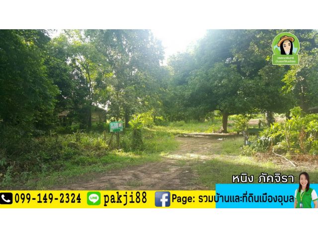 ที่ดินสร้างบ้านทำเลดีบ้านคำเกิด ติดถนนอรุณประเสริฐ/ยโสธร