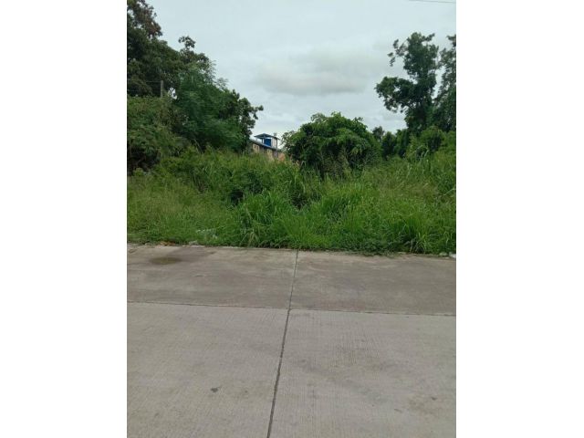 ขายที่ดินทำเลดี ตรงข้ามหมู่บ้านอุ่นไอรัก  เนื้อที่ 1ไร่เศษ ต. หนองไม้แดง อ.เมือง จ.ชลบุรี