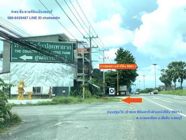 ###ขายที่ดินสัตหีบ นาจอมเทียน เนื้อที่ 99ตร.ว ชลบุรี###