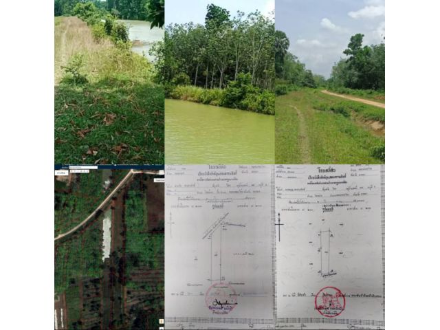 ขายที่ดินเปล่าและบึงคลองหอยโข่งคลองหลา 5 ไร่ 3 งานขาย 1.5ล้านบาท