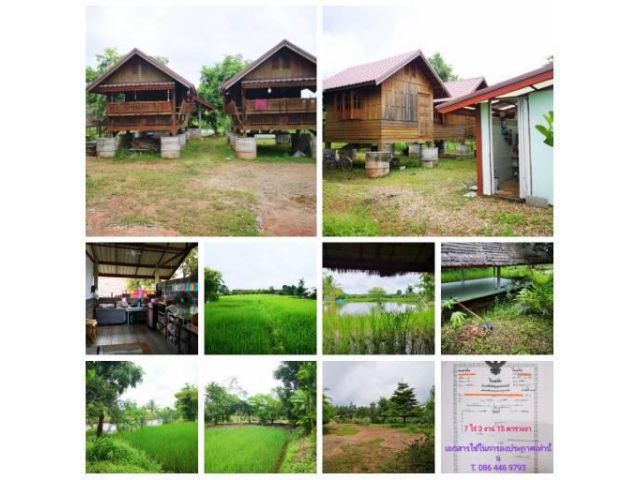 ขายที่สวนพร้อมบ้าน ตำบลเหล่าทอง อำเภอโซ่พิสัย จังหวัดบึงกาฬ