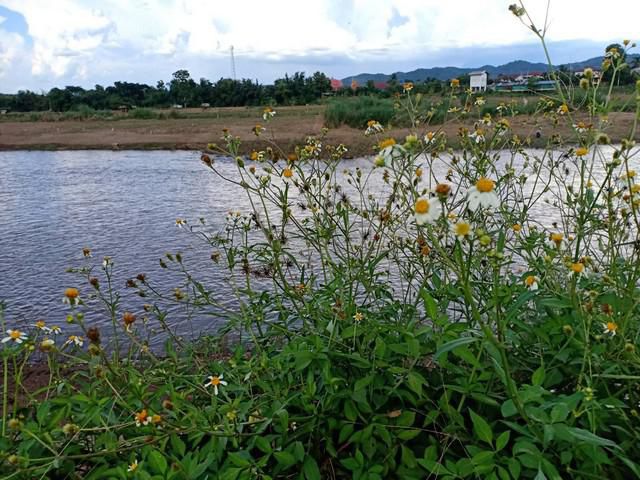 ที่สวยทำเลหายาก ริมน้ำน่าน ท่าวังผา จังหวัดน่าน 
