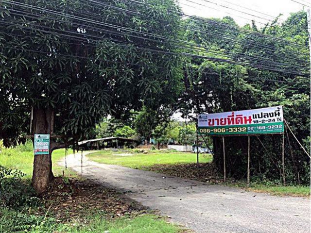 ขาย ที่ดินเปล่า ชะอำ ติดถนนเพชรเกษม