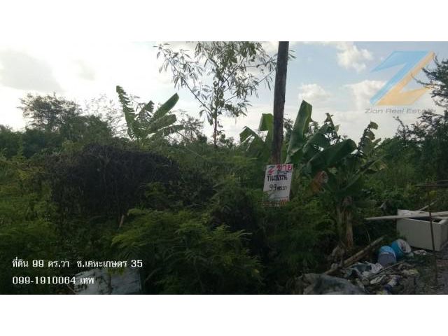 ขายที่ดิน 99 ตร.วา หมู่บ้าน เคหะการเกษตร 35 ต.หนองเพรางาย อ.ไทรน้อย จ.นนทบุรี