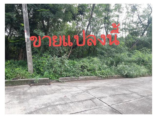 ขายที่ดิน หมู่บ้านสีวลี 1 รังสิต เนื้อที่ 80 ตารางวา ราคาต่ำกว่าประเมินของกรมที่ดิน