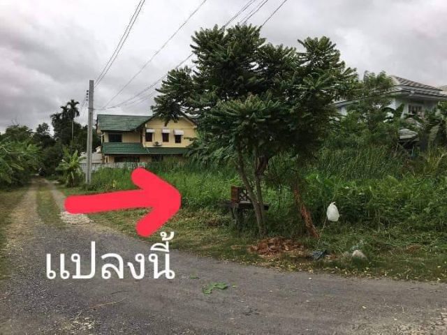 ที่ดินเปล่า 190 ตรว.แปลงหัวมุมติดถนน 2 ด้าน หน้ากว้าง 40*18 เมตร เข้าซอย ม.เคหะนคร ซอยเฉลิมพระเกียรติ ร.9 ซ.26