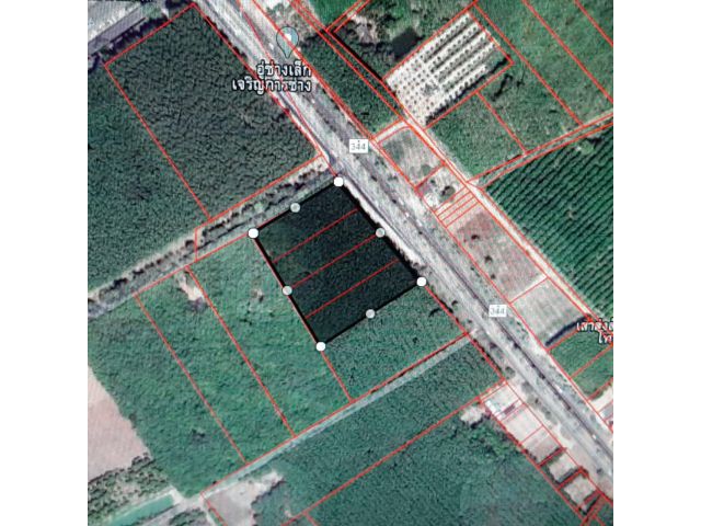 ที่ดินสวยทำกิจการติดสายหลัก344