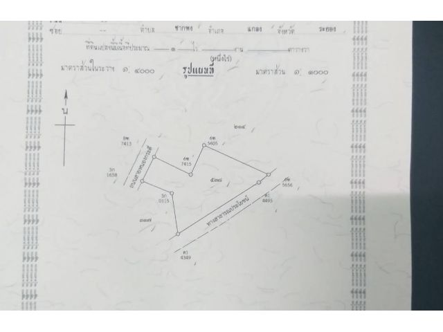 ที่ดินในชุมชนใกล้ทะเลทำสวนทุเรียน