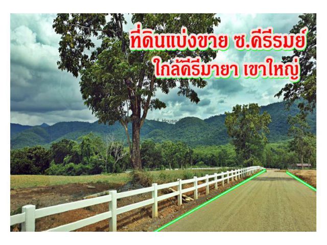 ที่ดินแบ่งขาย 1-5 ไร่ ซอยคีรีรมย์ เขาใหญ่ ปากช่อง