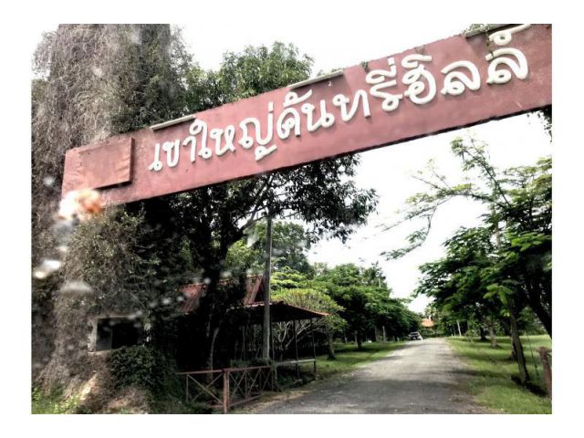 ขายที่ดินเขาใหญ่ เนื้อที่ 117 ตารางวา ในโครงการเขาใหญ่คันทรีฮิลล์