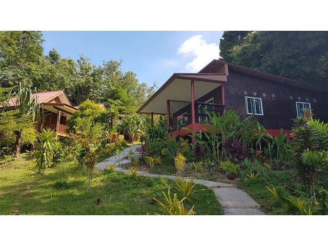 ขายด่วน รีสอร์ท Coral Bay Resort เกาะปู กระบี่