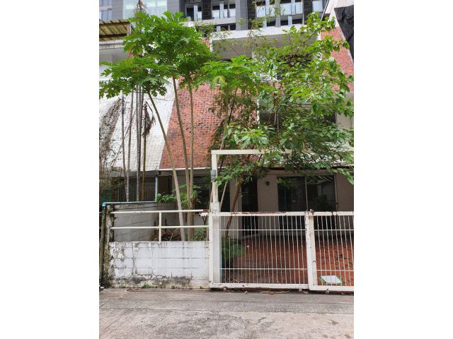 pp451ทาวน์เฮ้าส์สุขุมวิทซอย 11 ให้เช่า 63,000 บาทต่อเดือน 31 ตารางวา 3 ชั้นครึ่ง อยู่ข้างๆคอนโด The Circle