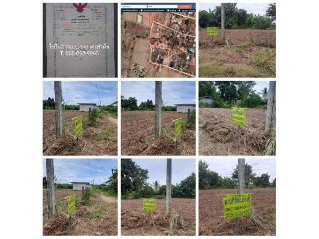 ขายที่ดิน สวนมันแกว บ้านหนองคลอง ต.โสกปลาดุก อ.หนองบัวระเหว จ.ชัยภูมิ