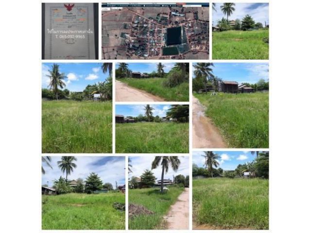 ขายที่ดิน บ้านหนองบัวบานเย็น ตำบลศรีสำราญ อ.คอนสวรรค์ จ.ชัยภุูมิ