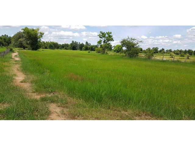 ขายที่ดิน 6 ไร่ ติดถนนใหญ่ ต.เหล่าโพนค้อ อ.โคกศรีสุพรรณ จ.สกลนคร เจ้าของขายเอง ราคาคุยกันได้