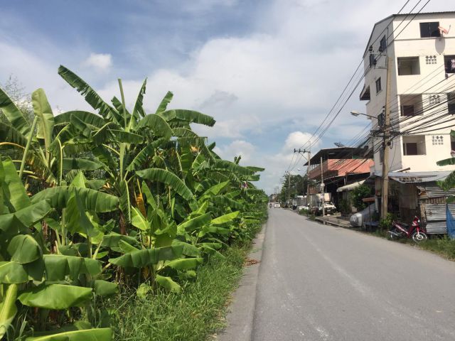 ที่ดินเปล่าร่มเกล้า ซ.25 พื้นที่ 10 ไร่ (ซ.วัดบำรุงรื่น)