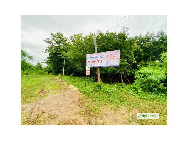 ขายที่ดิน  3-3-38 ไร่  อ.ธาตุพนม จ.นครพนม