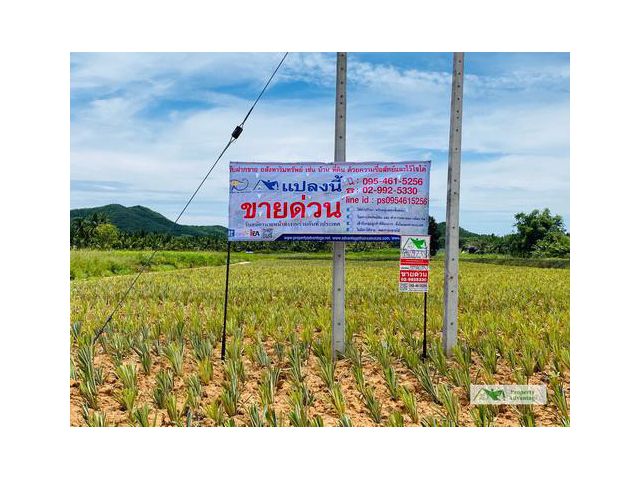 ขายที่ดิน 29-2-33ไร่  ต.บ่อนอก  อ.เมืองประจวบ