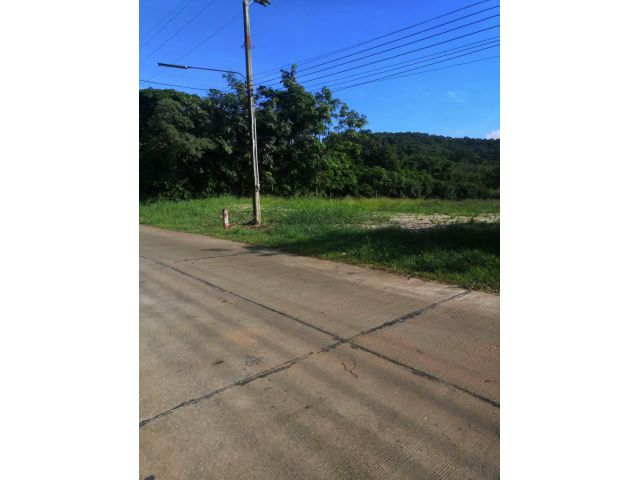 ที่ดินวิวภูเขา สายหมอก ใกล้เมือง ทำสวน วัยเกษียณ