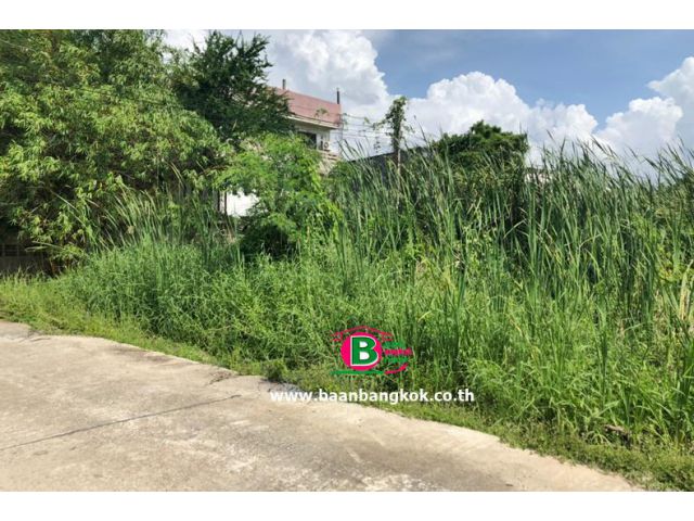 ที่ดินเปล่า โครงการ ธารทอง 2 แยก 10 เนื้อที่ 120 ตรว. ถนนกาญจนาภิเษก บางบัวทอง นนทบุรี