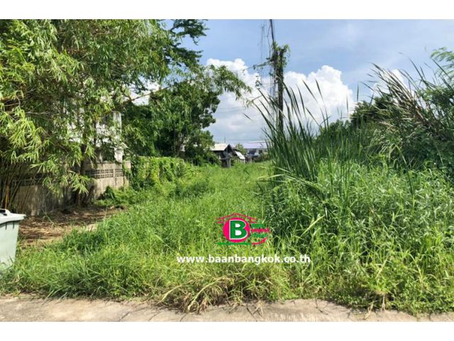 ที่ดินเปล่า เเบ่งขาย โครงการ ธารทอง 2 แยก 10 เนื้อที่ 240 ตรว. ถนนกาญจนาภิเษก บางบัวทอง นนทบุรี