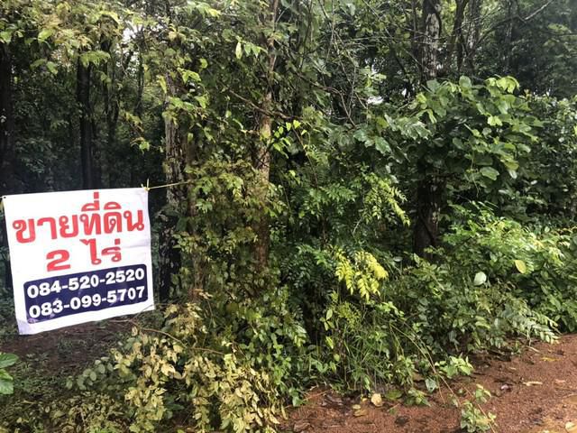 ขายด่วน ที่ดิน 2 ไร่ ทำเลดีอ.วานรนิวาส จ.สกลนคร