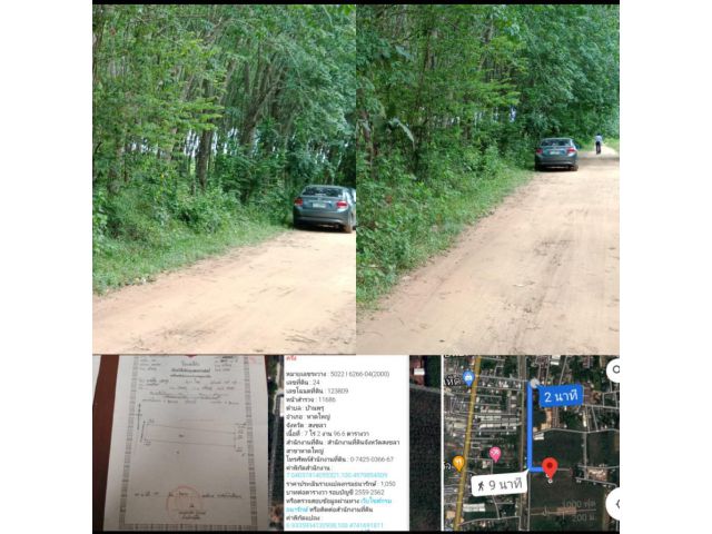 ขายที่ดินบ้านพรุคลองยาใต้ ถนนประชาร่มเย็น 7 ไร่ 2 งาน 96ตารางวาขายไร่ละ 2 ล้านห้าแสนบาท