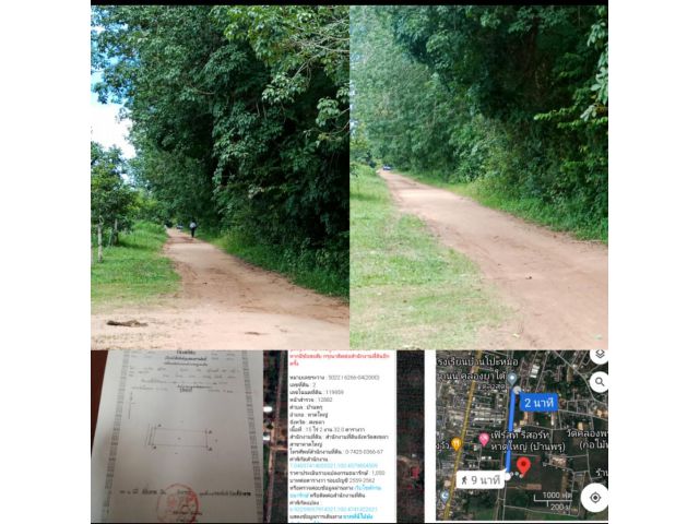 ขายที่ดินบ้านพรุคลองยาใต้ ถนนประชาร่มเย็น 15ไร่ 2 งาน 32 ตารางวาขายไร่ละ 2 ล้านห้5แสนบาท