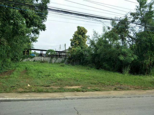 ขายถูก! ที่ดินเปล่าแปลงสวยรูปสี่เหลี่ยม ติดถนนซอย