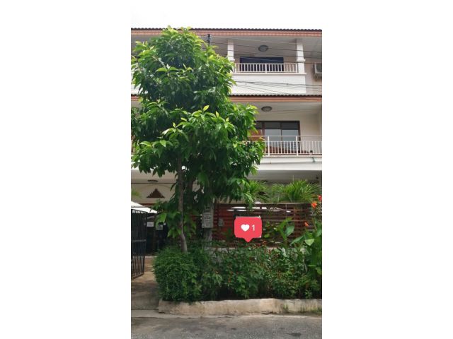 ขาย/ให้เช่า อาคารพาณิชย์ 3ชั้น 2คูหาติดกัน