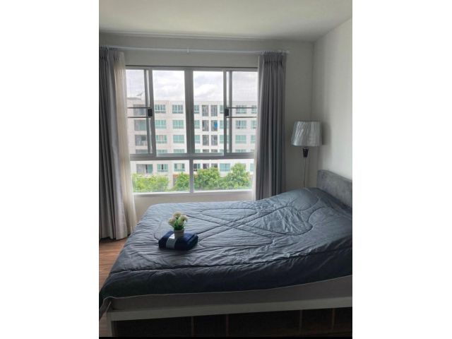 ให้เช่า ดีคอนโดนิม เชียงใหม่ วิวในสวนและสระว่ายน้ำ