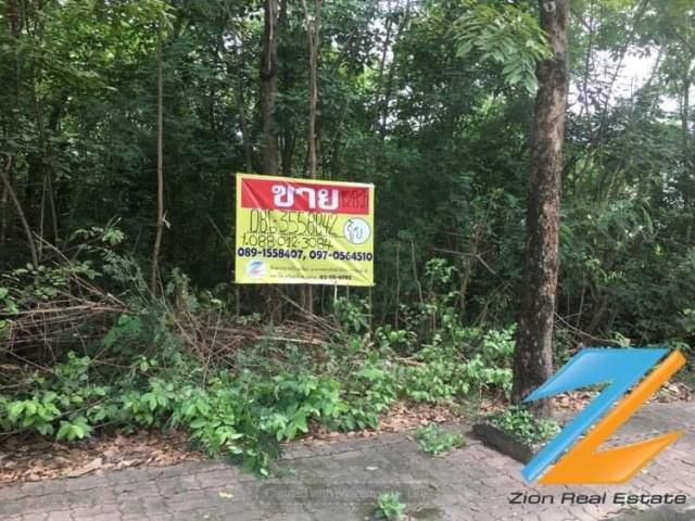 ขายที่ดิน128 ตรว.  มบ.ชัยพฤกษ์ บางแวก ซอย 3-14
