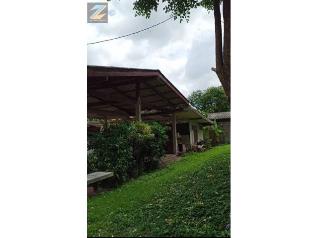 ที่ดินแบ่งขาย ขนาด 125 ตร.วา  ห่างจากสถานีรถไฟฟ้าบางซ่อน เพียง 10 นาที