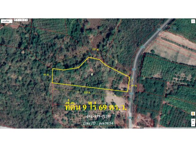 P16 ขายที่ดิน หนองบัวลำภู 9 ไร่ 69 ตร.ว. ใกล้ไร่สุขสวัสดิ์ พื้นที่สีเขียว