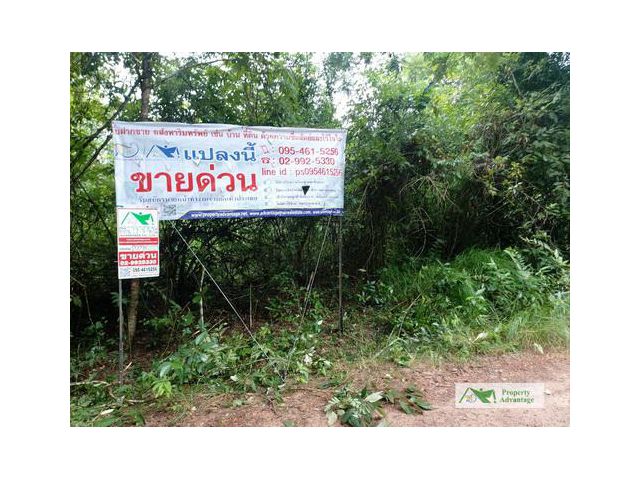 ขายที่ดิน12-3-56 ไร่ ต.หนองแวง  อ.บ้านแพง นครพนม