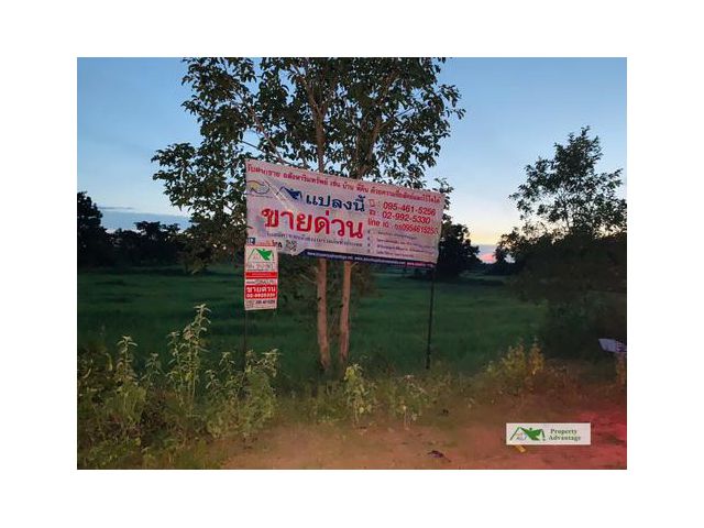ที่ดิน 9-0-58 ไร่ ต.หนองแสง  อ.วาปีปทุม มหาสารคาม