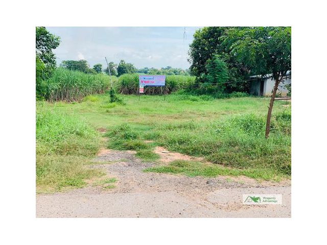 ที่ดิน6-2-0ไร่ ต.หนองระเวียง อ.พิมาย นครราชสีมา
