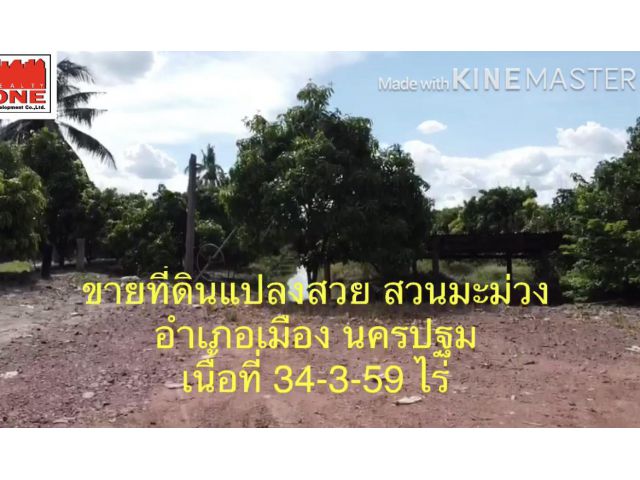 ขายที่ดิน สวนมะม่วง 34-3-59 ไร่  เมือง นครปฐม