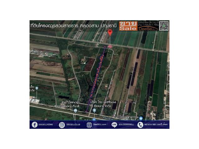 ขายที่ปทุมฯ 2ไร่2งาน25ตรว สวนสายธาร เหมาะพักอาศัย
