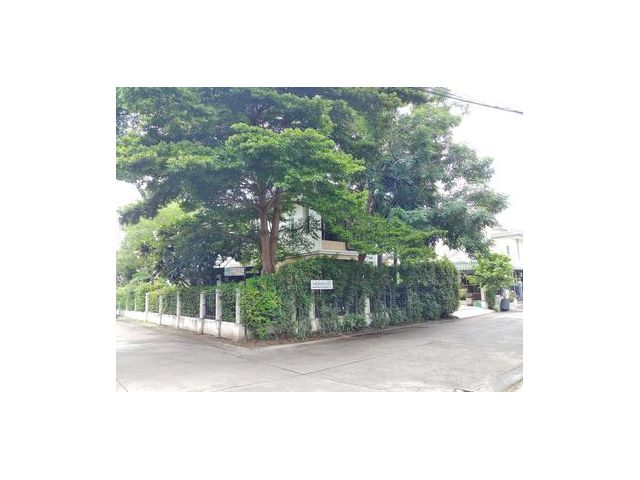 บ้านเดี่ยวหลังมุม หมู่บ้านพฤกษาวิลเลจ อ.บางกรวย จ.นนทบุรี