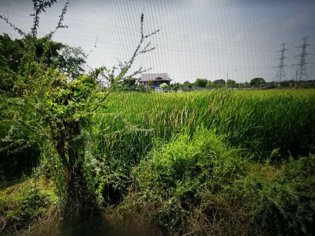 ขายที่ดินเปล่า ที่ดินแปลงสวย 272 ตรว ถนนราษฎร์อุทิศ ซอย 62/1 แสนแสบ มีนบุรี