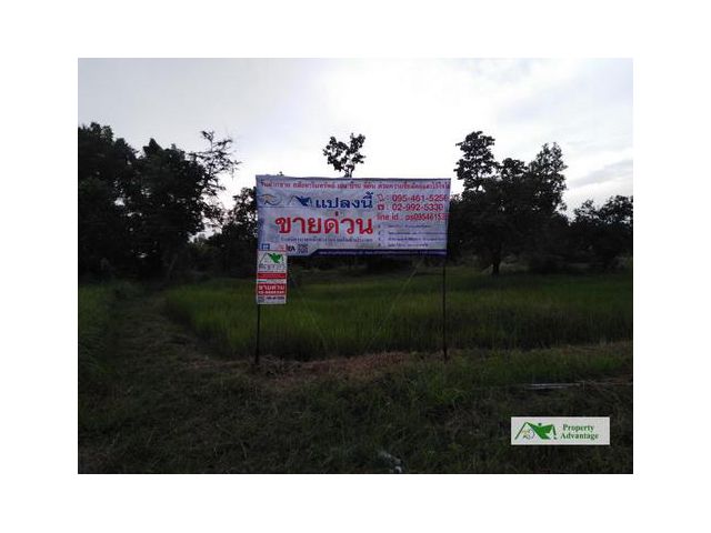ที่ดิน 22-3-20ไร่ ต.ไร่ขี  อ.ลืออำนาจ อำนาจเจริญ