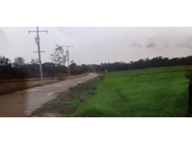 ขายที่ดินนา 29 ไร่ มีถนนคอยกรีตผ่าน บรรยากาศดี