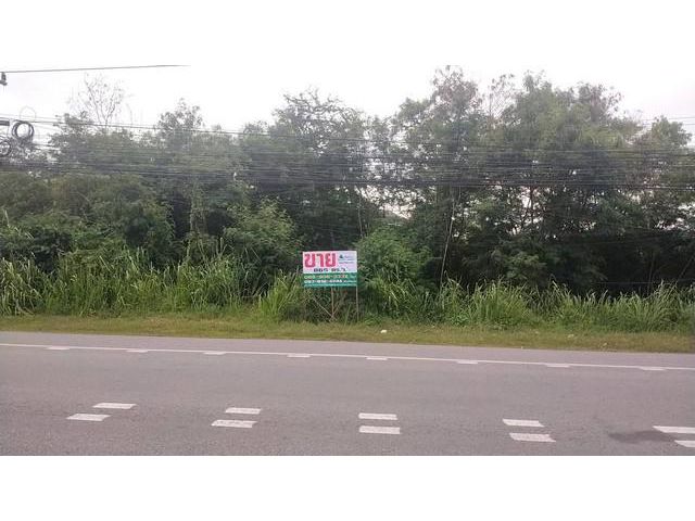 ขายที่ดินเปล่า ติดถนนสุขุมวิท บางเสร่ 2ไร่