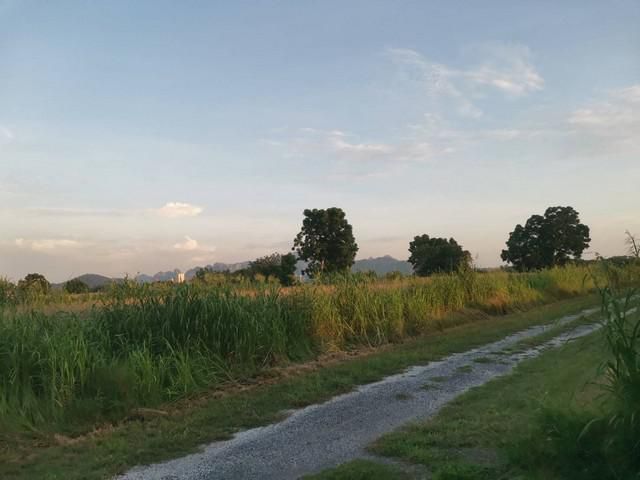 ขายที่ดินจัดสรร  เหมาะแก่การปลูกบ้าน