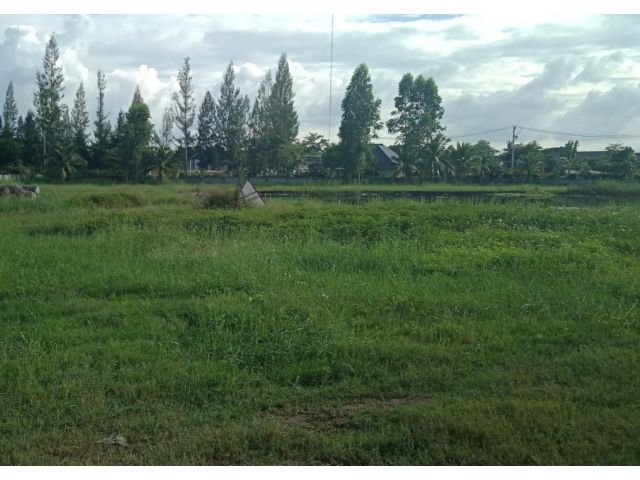 ที่ดินเปล่าถมแล้ว แม่โจ้