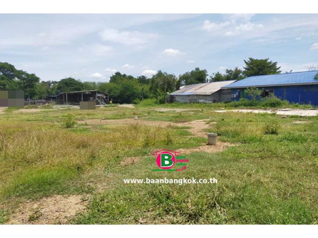 ที่ดินถมแล้ว ชุมชนเทศบาล1 ซอย2 (แยก 1) เนื้อที่รวม 5 งาน 259.4 ตรว. (แบ่งขายได้) ถ.มาลัยแมน จ.นครปฐม